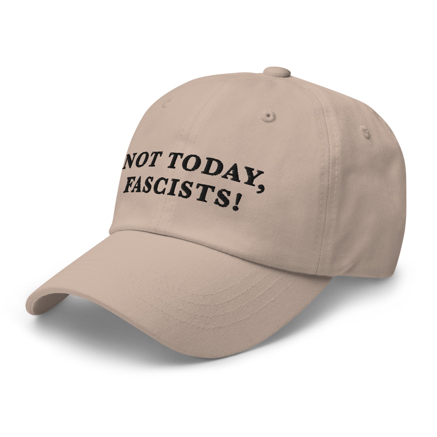 Not Today, Fascists! - Dad hat