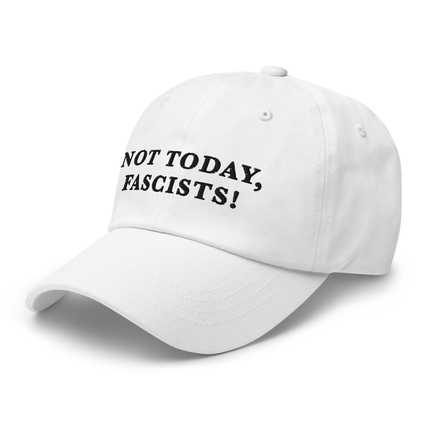 Not Today, Fascists! - Dad hat
