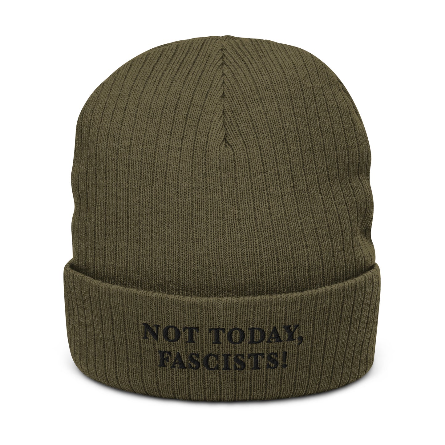 Not Today, Fascists! - Ribbed Knit Beanie